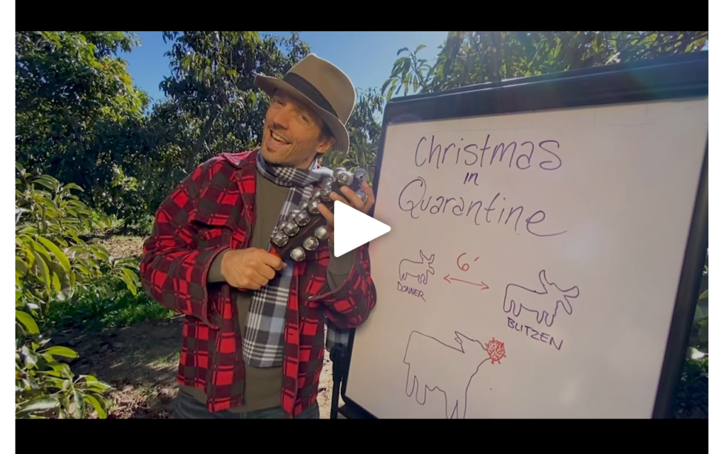 Christmas in Quarantine